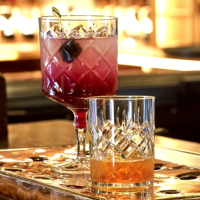 Gin Cocktail Goblet Elite Krystal Polycarb 20oz / 56cl with drinks